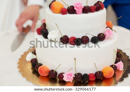 the couple cut the wedding cake