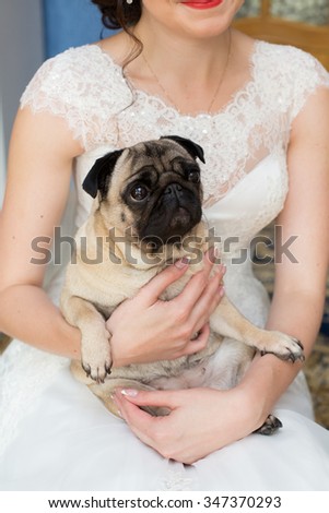 favorite dog in the bride\'s hands