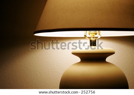 Living Room Lamp with shade and light