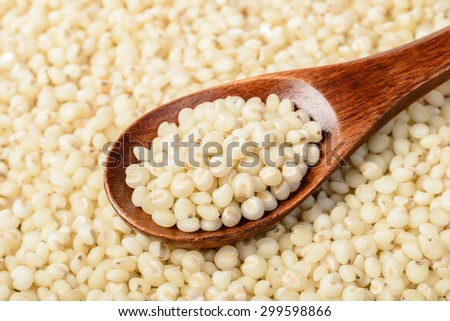food background of sorghum, (large depth of field,take with tilt shift lens)