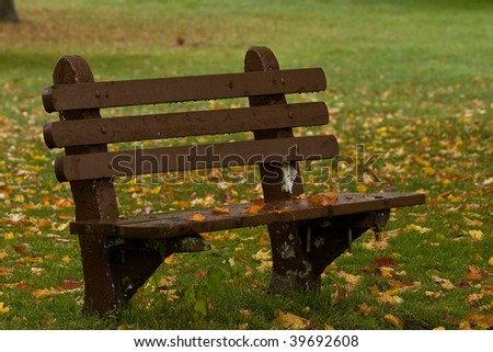 Wet park bench in autumn