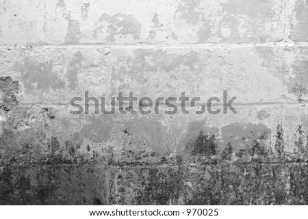 Grunge Background - mold and peeling pain on a cinder block wall