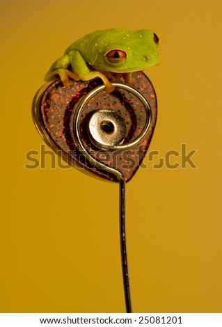 tree frog heart