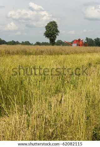 Annual Crops