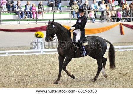 vintage in Cup cup 2010 World October dressage Kaposvar,  Dressage Competition 9, Hungary