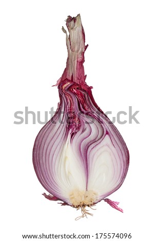the sweet red onion sliced onion in half. long neck, red/purple skin, white flesh insides that contain shades of purple, hairy root and stem are visible. white background
