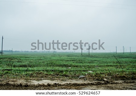 dirt highland, brown rough road in forest field and fog with electric poles dirt road at the summer dramatic day Cultivated land in a sunny
