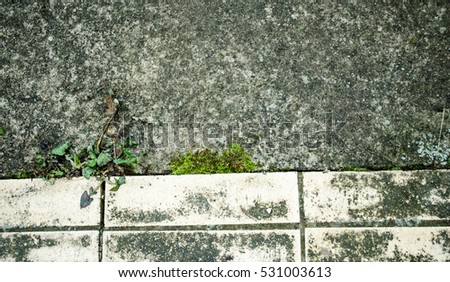 Stone pavement texture with asphalt and grass. Granite cobblestoned pavement background. Abstract background of old cobblestone pavement close-up
