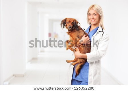 A smiling female veterinarian doctor holding a puppy and standing in a hospital hall
