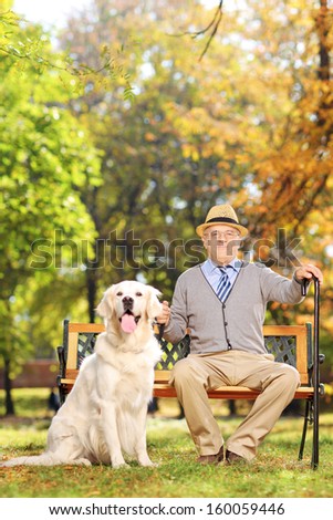 Confident senior gentleman sitting on a wooden bench with his labrador retriever dog, in a park