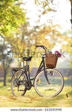 WomanÃ?Â¢??s bike with basket and flowers in a park