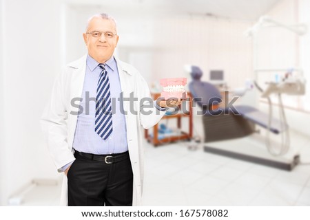 Middle aged male dentist holding a teeth sample made out of plaster cast at his workplace