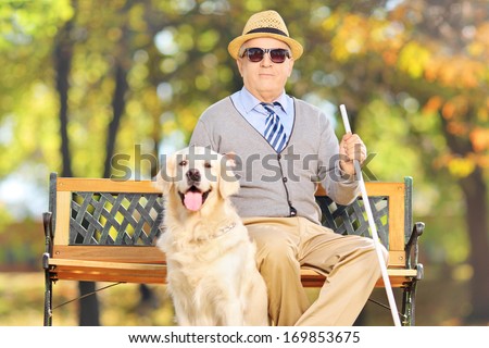 Senior Blind Gentleman Sitting On A Bench With His Labrador Retriever Dog, In A Park
