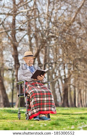 An old man reading a novel in park