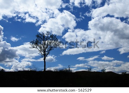 A tree and clouds