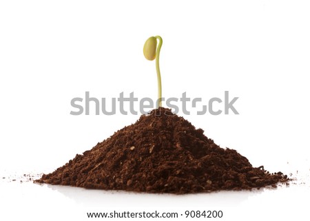 Pile Of Soil