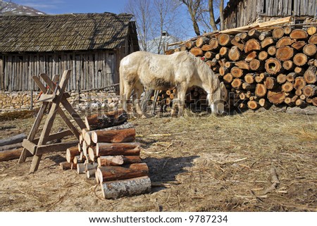 Rural scene from a village in countryside Macedonia