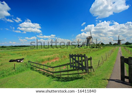 Rural scene from Kinderdijk, Holland