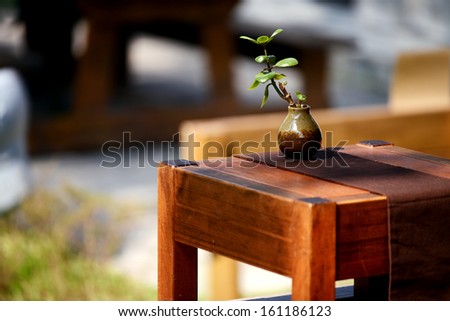 a potted plant on the tea table in a japanese tea house