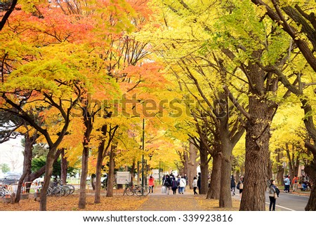 HOKKAIDO, JAPAN - Oct 24, 2015: The Golden leaves festival of Hokkaido University in Sapporo, Japan.