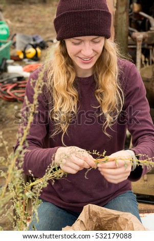Woman wearing a maroon beanie hat picking dried herbs for harvest