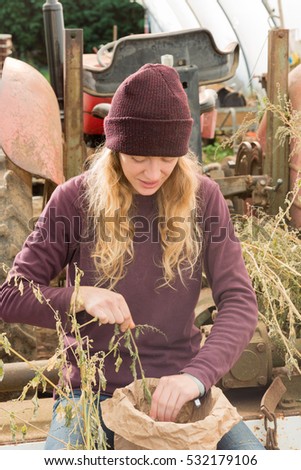 Woman wearing a maroon beanie hat harvesting dried herbs in a farm