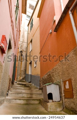Dog house on a narrow street by stairs, Manarola, Italy.  Woman looks down from several stories above, post box across.
