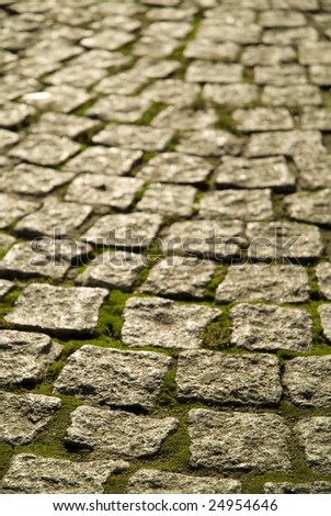 Close-up of cobblestones with short depth of field, moss between stones.