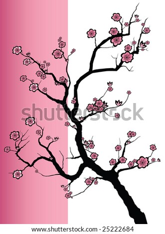 cherry tree drawing in blossom. cherry tree blossom japan. of
