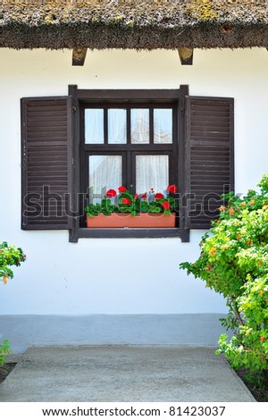 Window with flowers on a window sill