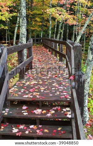 Autumn Fall Colors in Michigan Upper Peninsula