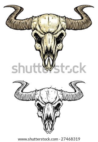 Cow Cranium