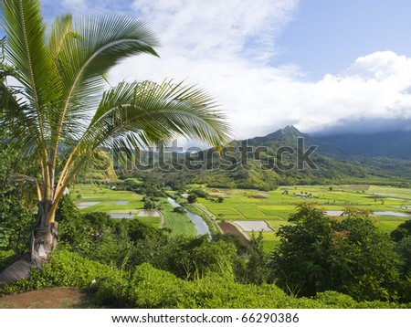 Hanalei Valley Lookout