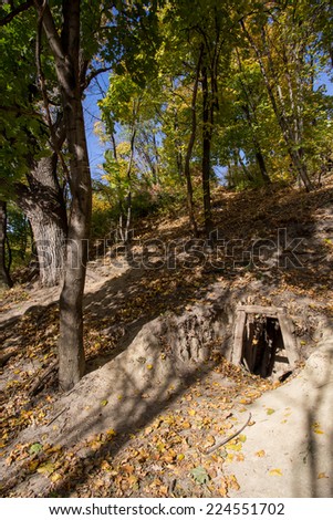 Old mine entrance in forest