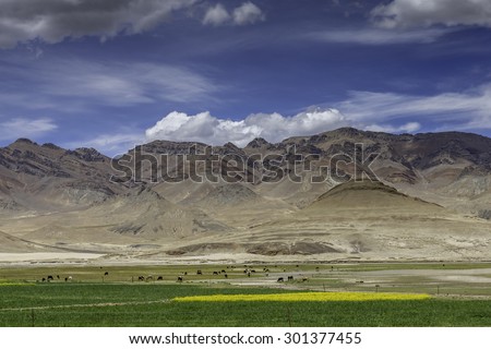 farm in the Tibet plateau