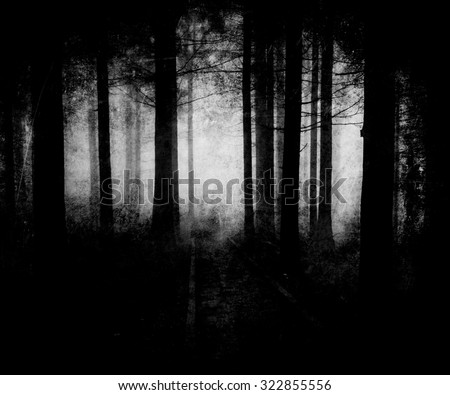 Black White Scary Halloween Forest Wallpaper