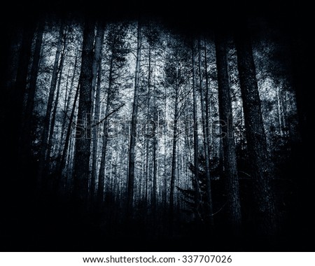 Misty Forest, Dark Grunge Landscape