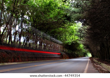 A street among trees in a forest with a motorcycle trace running through the street in high speed.