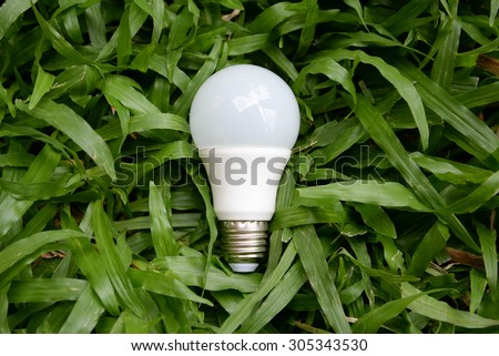 LED bulb - Energy and green nature