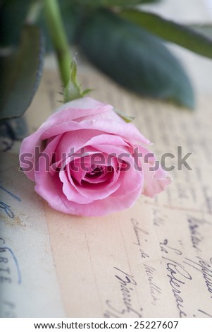The letter and a rose send the love message.