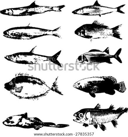 Type Fish