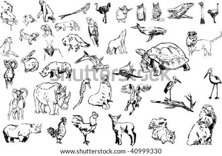 Animal Linearts