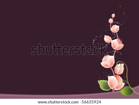 wallpaper pink and black_08. Rose Flower Background Stock