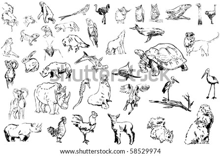 animals line