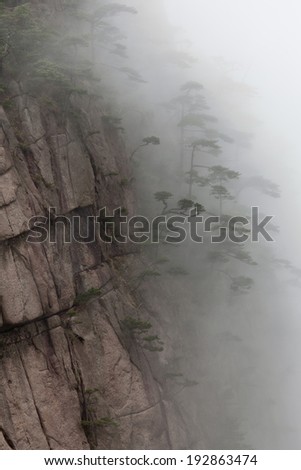 Misty morning in Huangshan Mountain (Yellow Mountain), China. Of all the notable mountains in China, it is probably the most famous to be found in the south of Anhui province