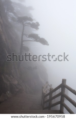 Misty morning in the Huangshan Mountain (Yellow Mountain), China. Of all the notable mountains in China, it is probably the most famous to be found in the south of Anhui province
