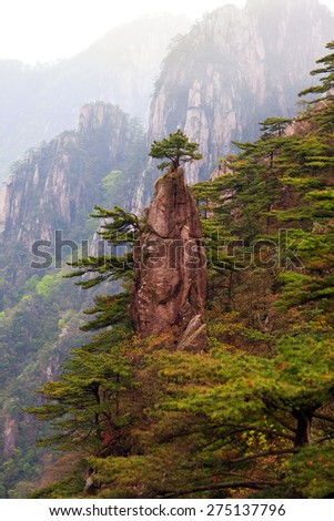 'Pine tree on the top of the paint brush' view point in Huangshan mountain, China. Of all the notable mountains in China, it is probably the most famous to be found in the south of Anhui province.