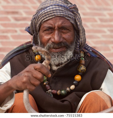 Hindu Cobra