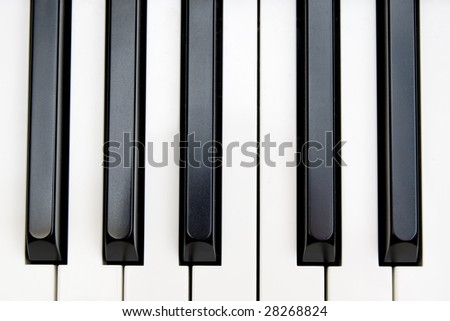 Piano keyboard seven white and five black key
