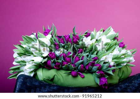 Purple and white tulips on black chair with green cushion